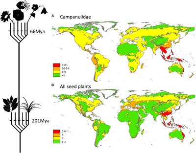 Southeast Asia as One of World’s Primary Sources of Biotic Recolonization Following Anthropocene Extinctions